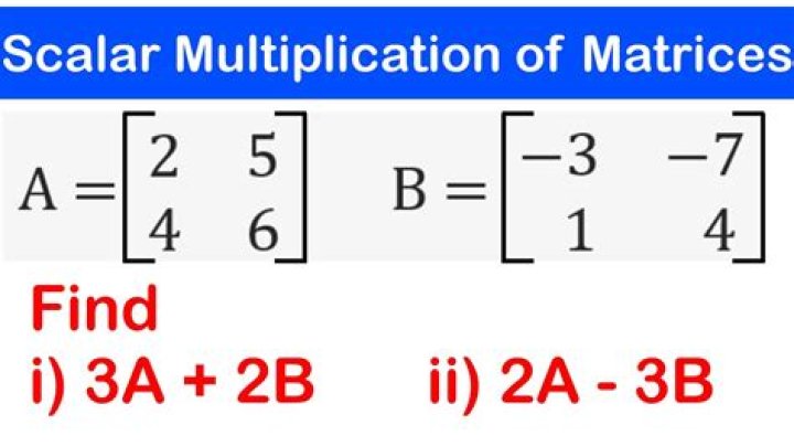 Matrix and scalar multiplication