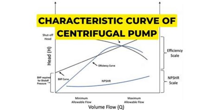 Meaning of a characteristic curve (introductory PDE)