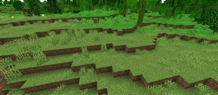 Minecraft grass showcasing 'brown' grass