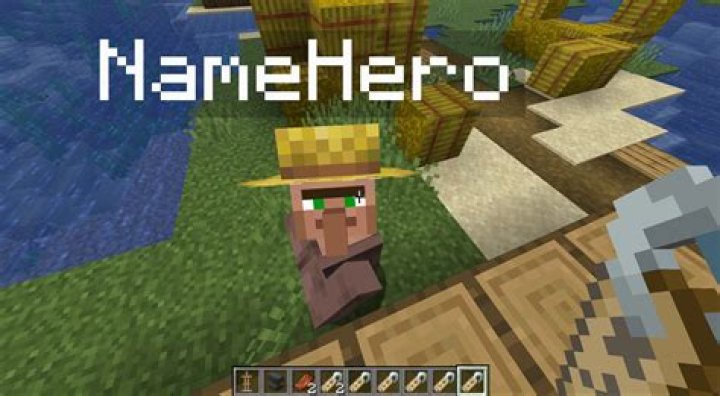 Minecraft name setting