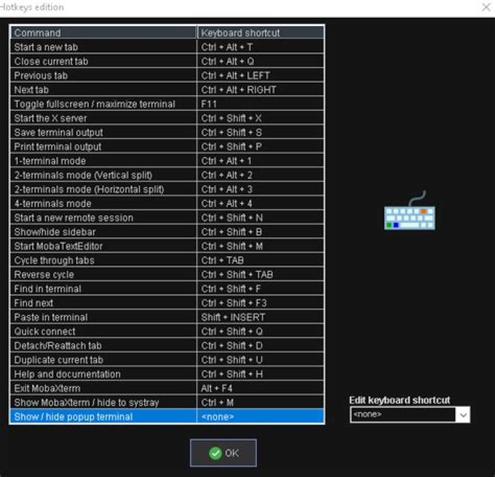 MobaXterm captures hotkeys when I am in another program