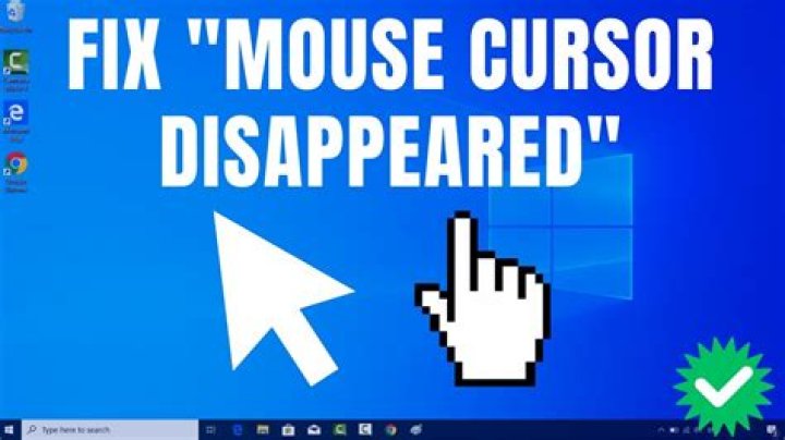 Mouse disappears on virtualbox windows for ubuntu 18.04 server
