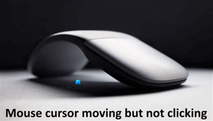 Mouse pointer stuck but computer completely functional