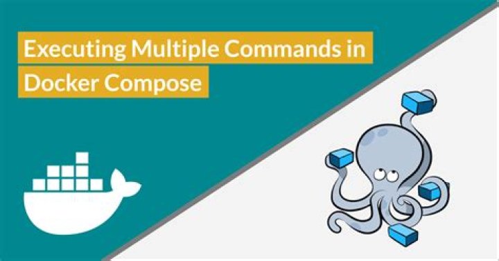 Multiple commands on docker ENTRYPOINT