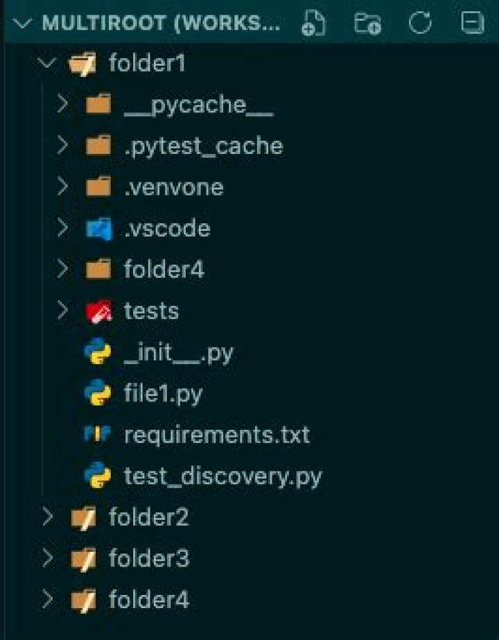 multi-root workspace folders