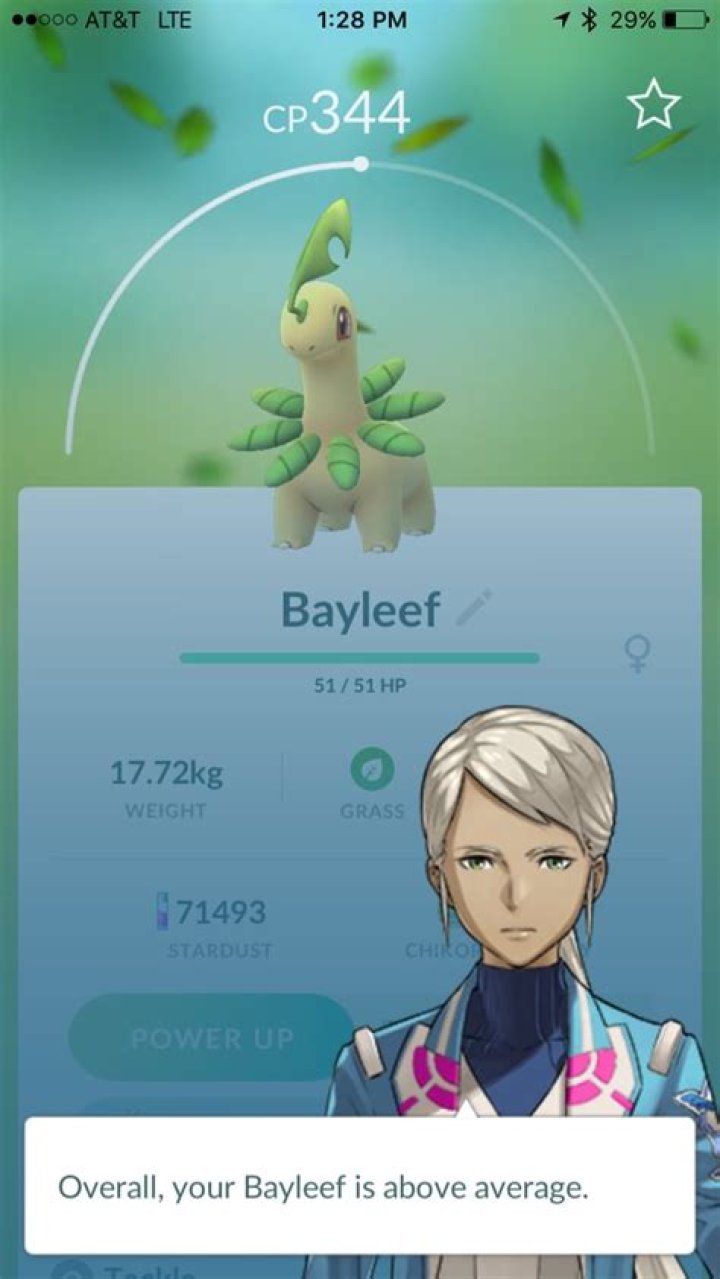 my bayleef