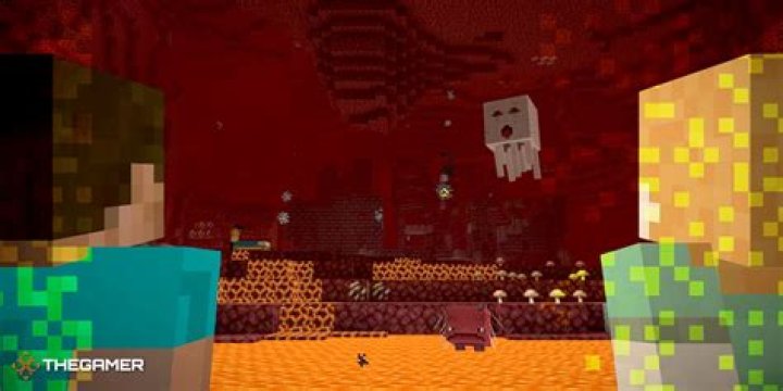my world with the nether randomly in the Overworld