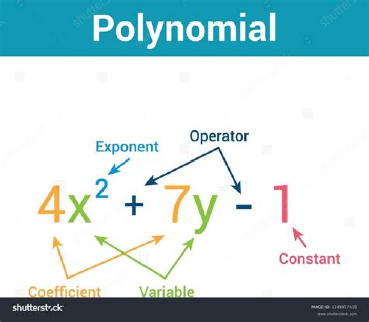 Names for parts of a polynomial