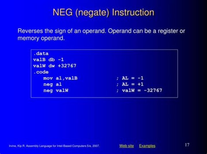 NEG in Assembly