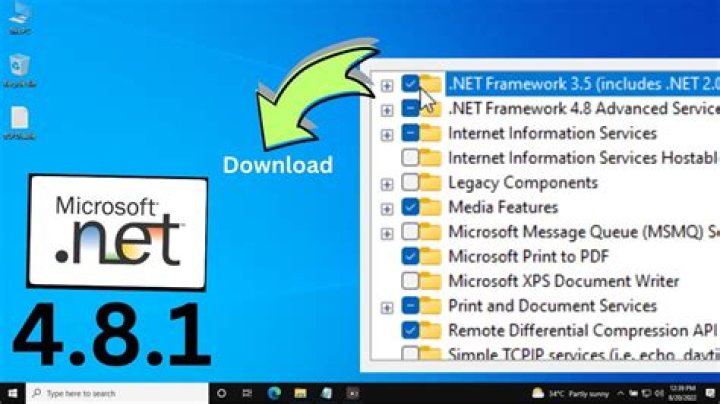 .NET Framework 1.1 program doesn't work on Windows 10