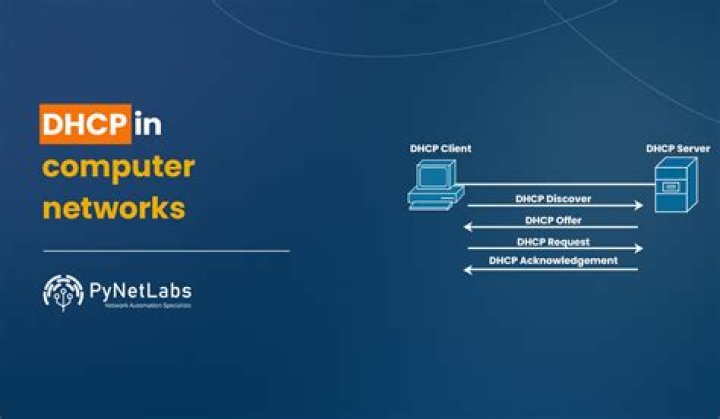 network interfaces on dhcp client