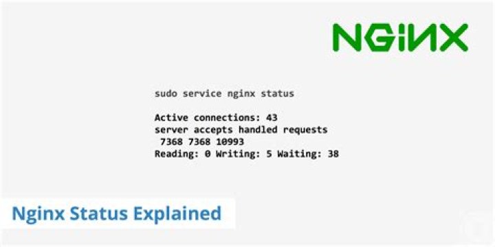 Nginx status