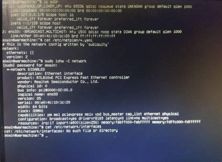 No internet connection after ubuntu server 20.04 install, ifconfig not available