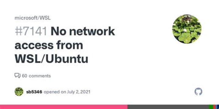 No network access from WSL/Ubuntu