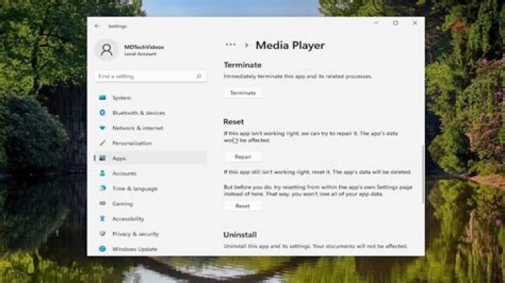 No sound in any media player