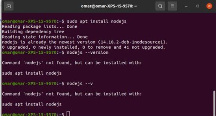 Nodejs appear installed but 