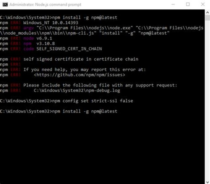 nodejs 