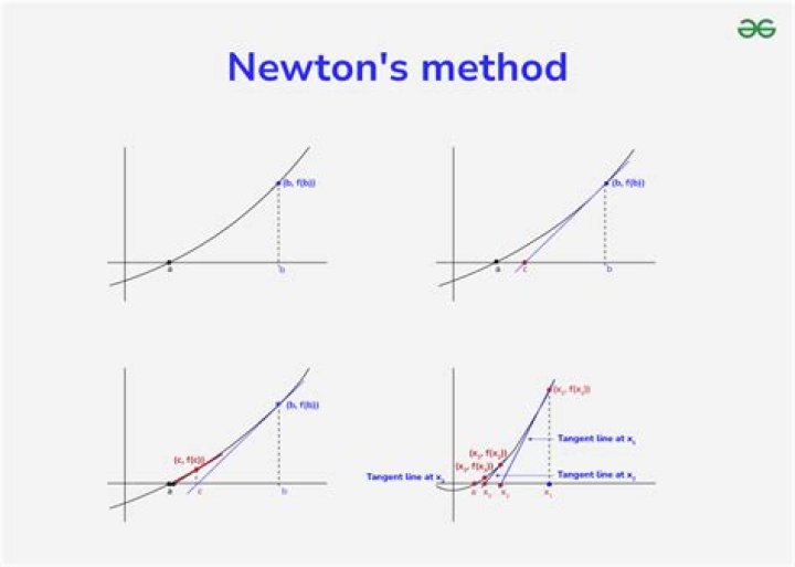 Non-negativity constraint in Newton's method