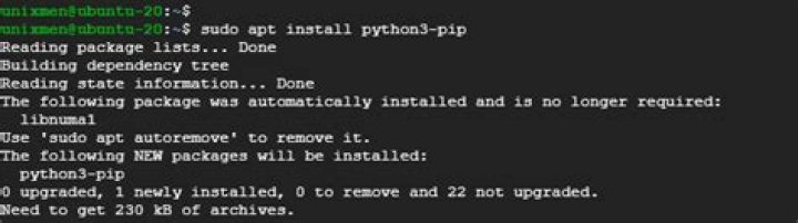 Not installing pip on ubuntu 20.04 [duplicate]
