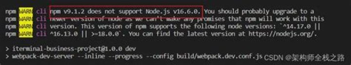 npm does not support Node.js v10.19.0