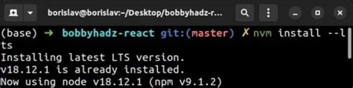 npm install error from the terminal