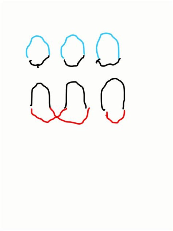 Number of Spaghetti loops