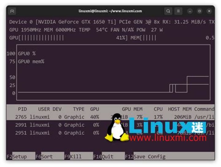 NVTOP interface