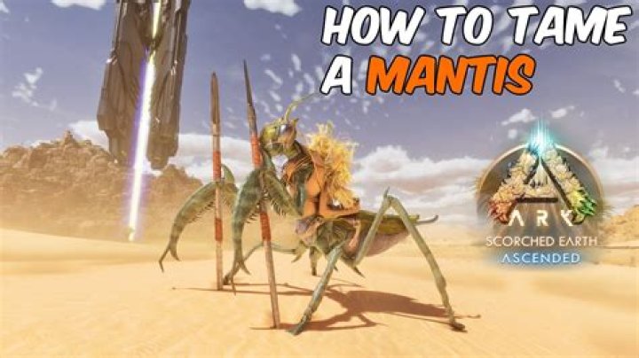 Once I tame a mantis what do i need to feed it?