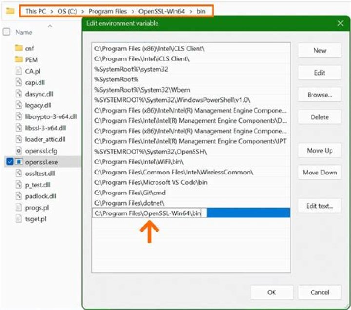 OpenSSL can't find distinguished_name in config file