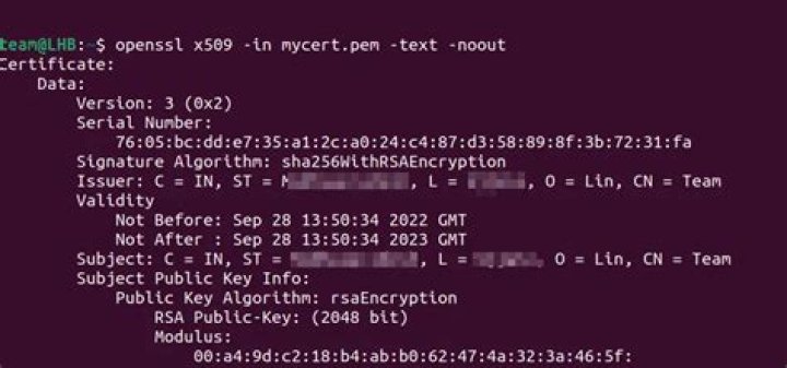OpenSSL Command to check if a server is presenting a certificate