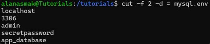 option delimiter in cut