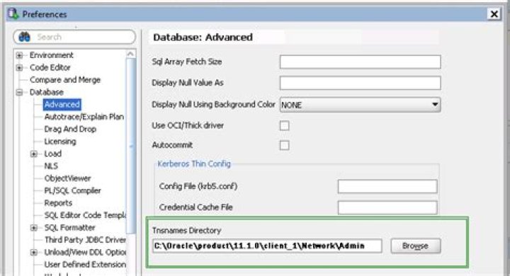 Oracle TNS names not showing when adding new connection to SQL Developer