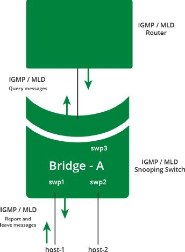 other interface connected to linux bridge not receiving multicast packet