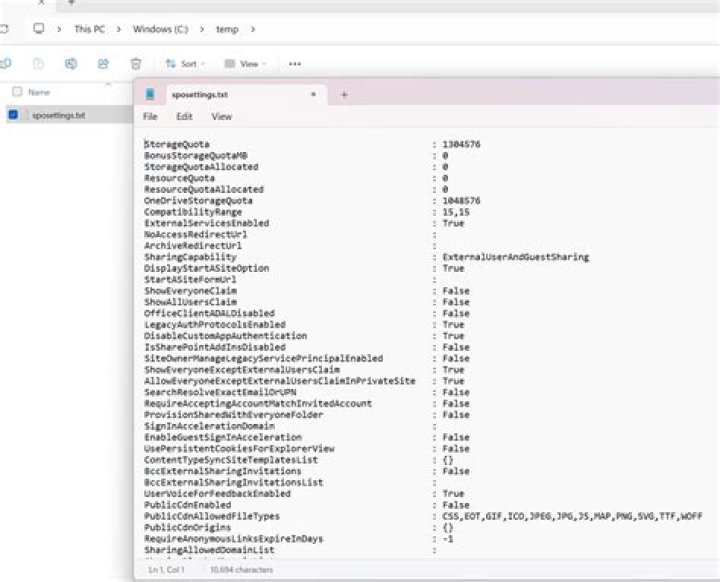 Output file