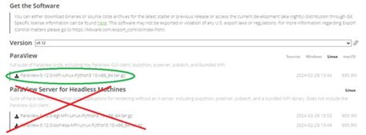 paraview: cannot connect to X server
