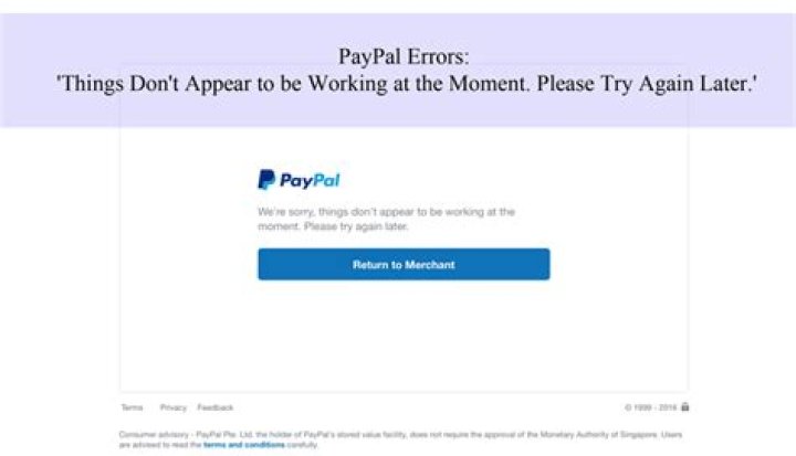 PayPal Error 