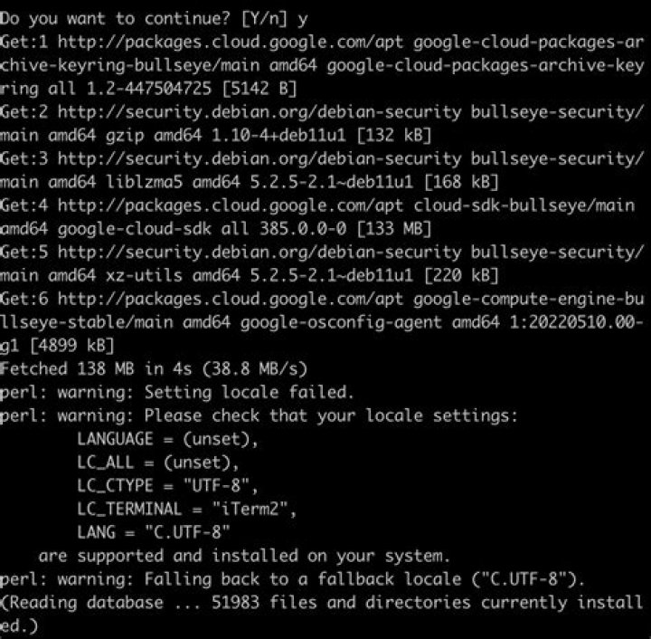 perl: warning: Setting locale failed. Centos 6.9