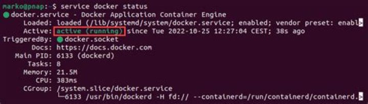 permission denied in docker-compose on linux [closed]