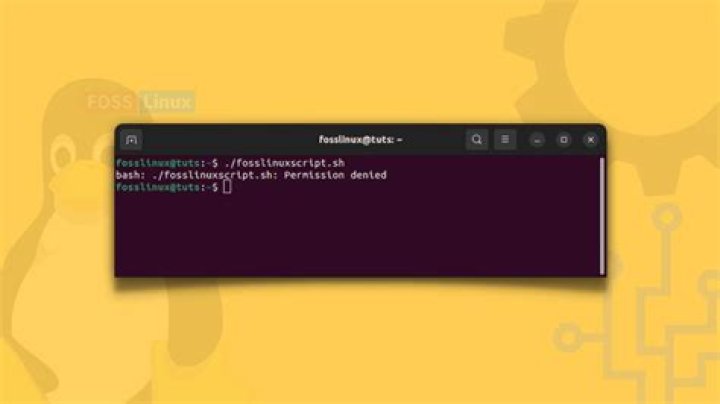 Permission denied when running a script with or without sudo in Ubuntu on Windows 10