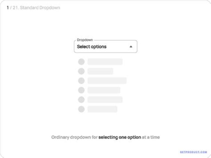 Picture showing error on dropdown