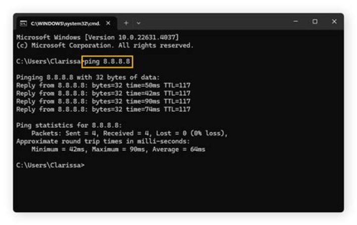 ping 8.8.8.8 works but ping www.google.com doesn't