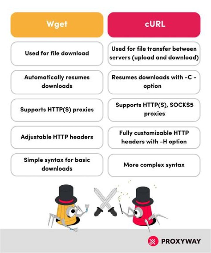 Ping works, wget, curl and apt do not... firewall disabled to make sure not the problem