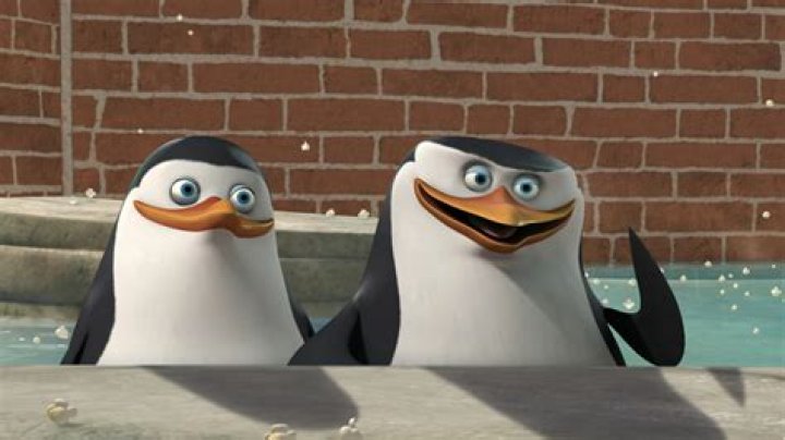 pinguin is gone