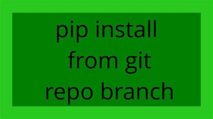 pip install from git repo branch
