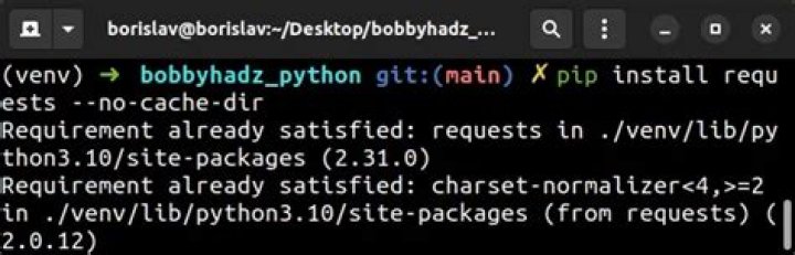 pip install with --no-cache-dir and --target