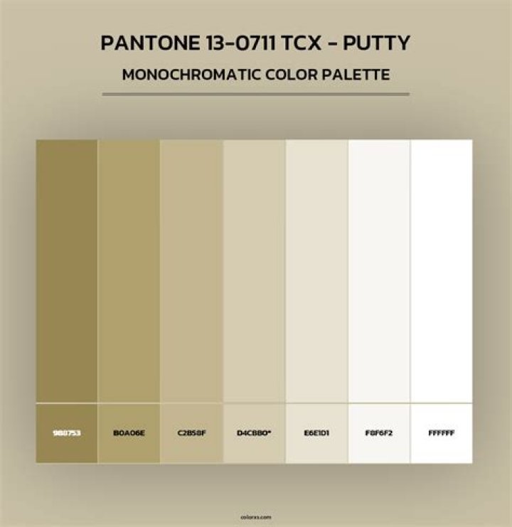 Plink using PuTTY colour scheme