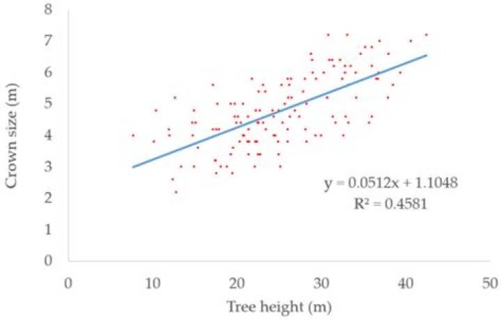 Plot of tree