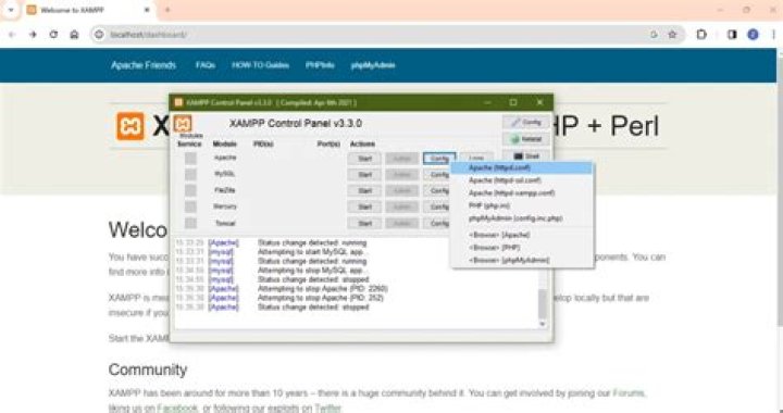 Port 8081 is redirected to http://localhost:8082/
