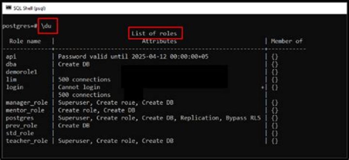 Postgresql drop role command not working