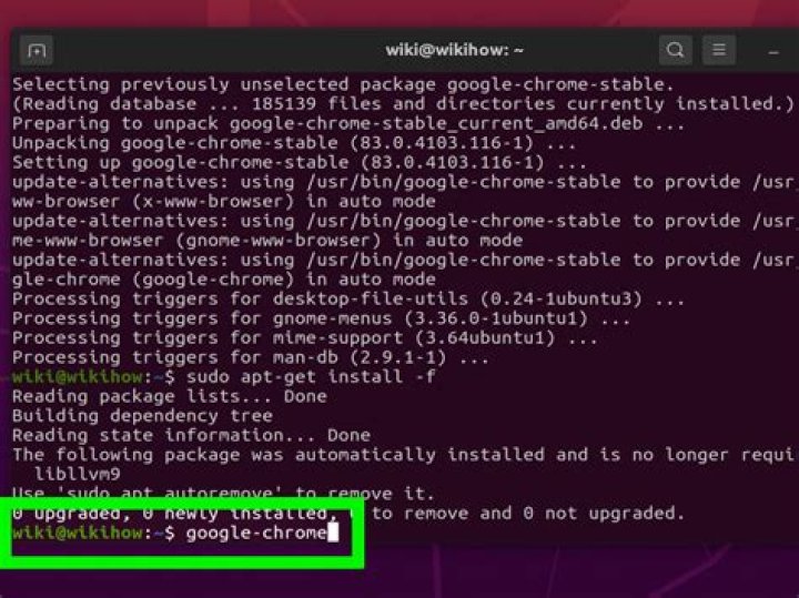 Problem running google-chrome in the Terminal